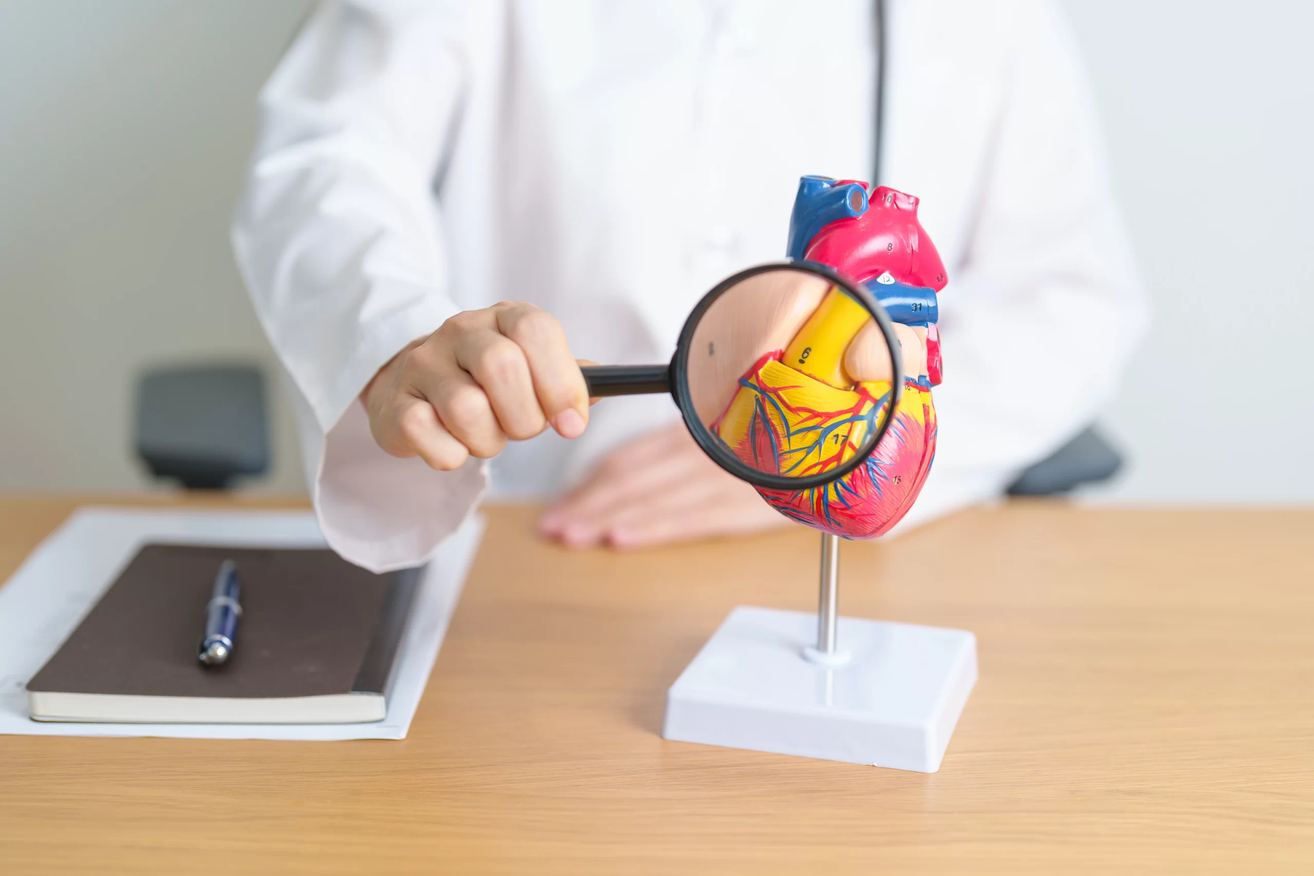 Read more about the article Cardiac Requirements for DOT Physicals in Charlotte, NC: What You Need to Know (Beyond Blood Pressure)